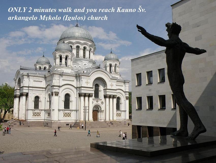 Apartamentai Kauno Centre Kaunas Bagian luar foto